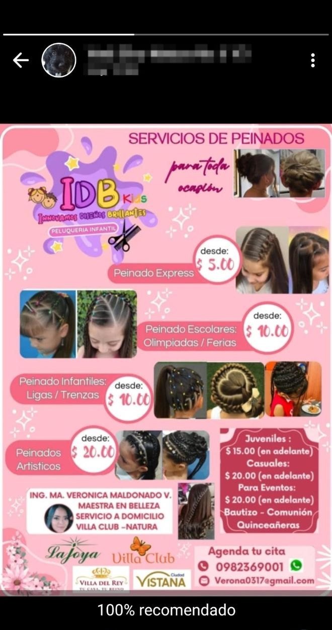 Clienta compartiendo el catálogo de IDB en su estado de WhatsApp con el texto «100% recomendado»